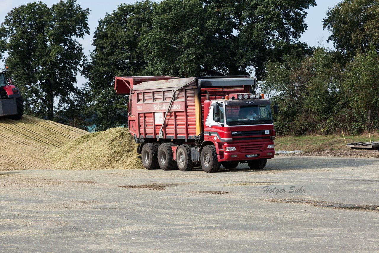 Bild 37 - Maisernte